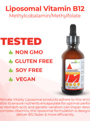 Load image into Gallery viewer, Liposomal B12 as Methylcobalamin - 2 Ounces