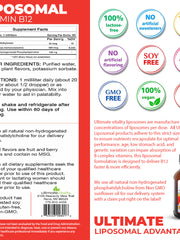 Load image into Gallery viewer, Liposomal B12 as Methylcobalamin - 2 Ounces