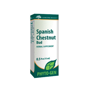 Genestra Spanish Chestnut Bud