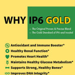 Load image into Gallery viewer, IP6 Gold Immune Support Formula 240 Vegetarian Capsules
