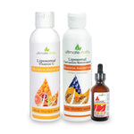 Load image into Gallery viewer, Ultimate Liposomal Immune Support Bundle
