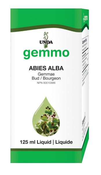 UNDA Abies Alba (formerly Abies Pectinata)