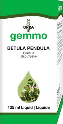 UNDA Betula Pendula (SAP)