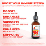Load image into Gallery viewer, Liposomal B12 as Methylcobalamin - 2 Ounces
