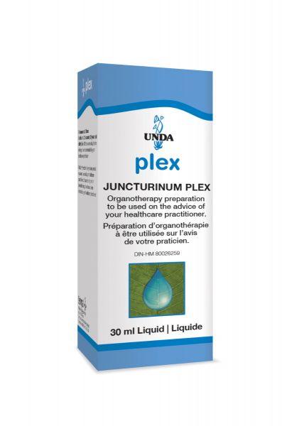 UNDA Juncturinum Plex